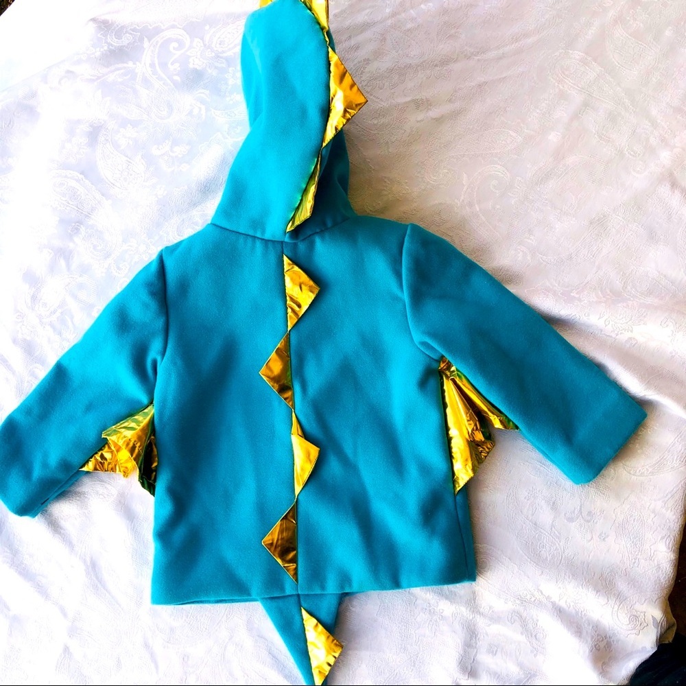 Cat & Jack dinosaur jacket! 12m